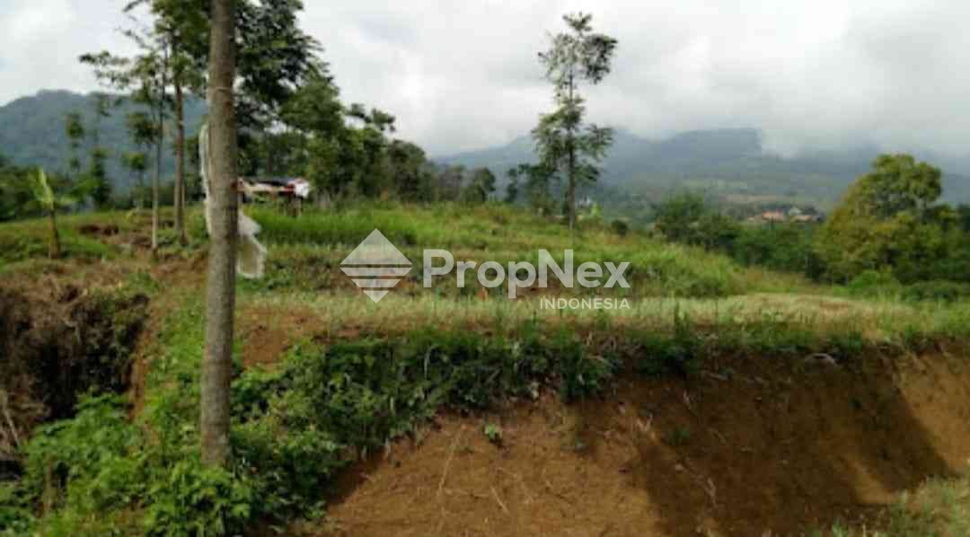 Tanah Komersial Desa Cembor - Pacet Mojokerto — foto 8